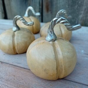 DYNIA Z DRZEWA MANGO